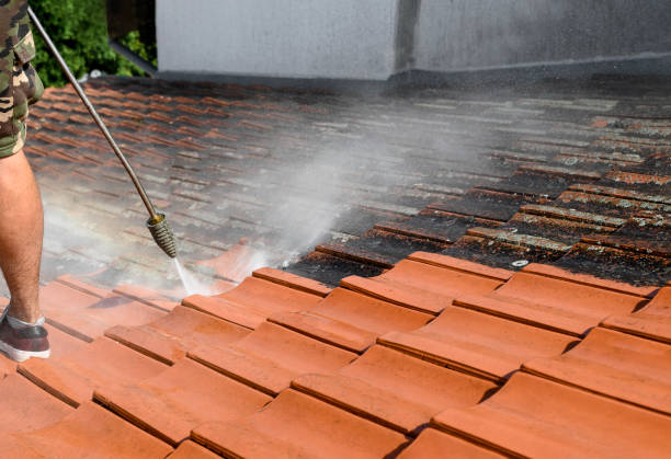 Best Pressure Washing Near Me  in Springville, AL