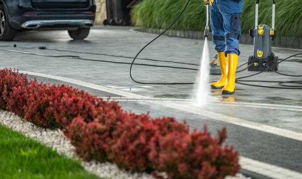 Best Roof Power Washing Services  in Springville, AL