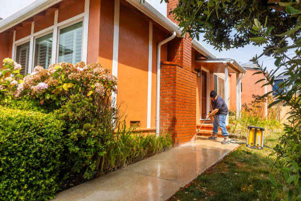 Best Roof Pressure Washing  in Springville, AL